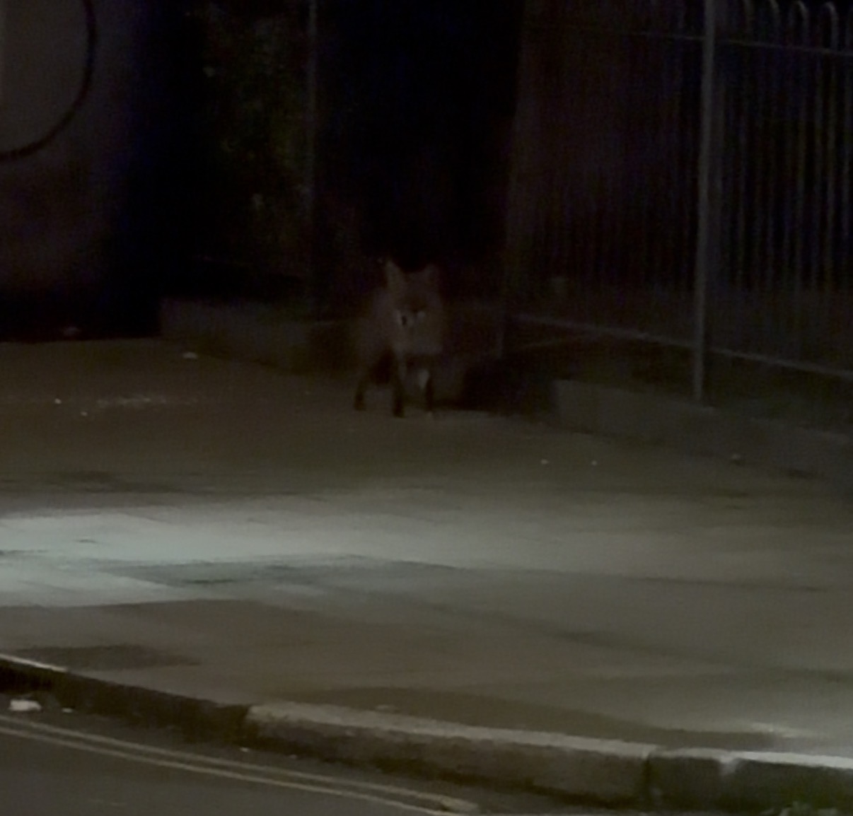 Animals Shaped Like People